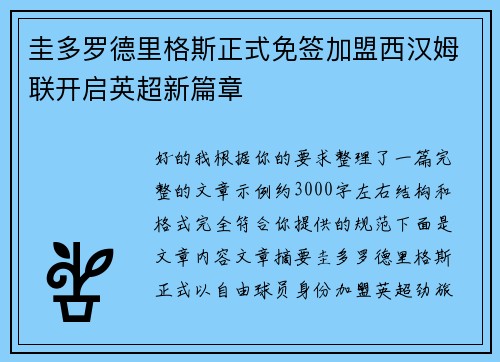 圭多罗德里格斯正式免签加盟西汉姆联开启英超新篇章